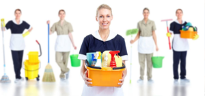 cleaning southampton ny Eco Mattress Cleaning Hamptons house cleaning 